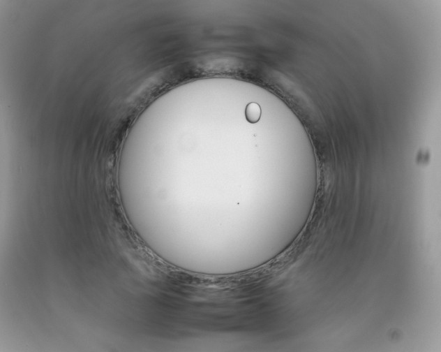 X0000092250737200709141005
