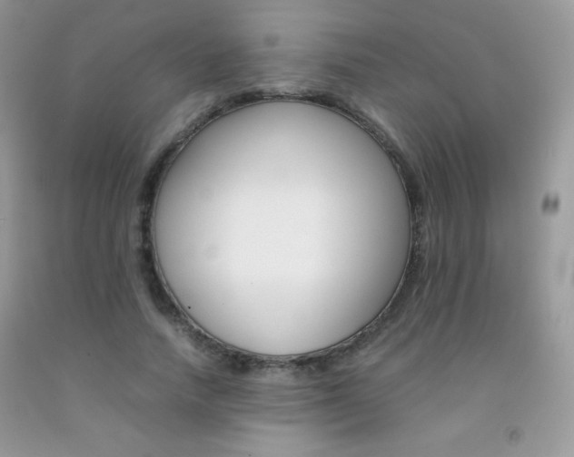 X0000092250738200709141005
