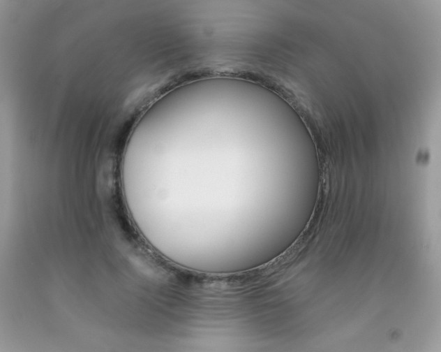 X0000092250740200709141005