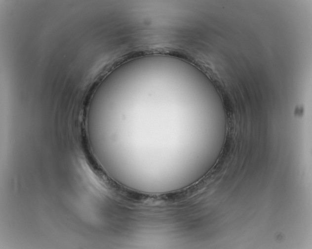 X0000092250742200709141005