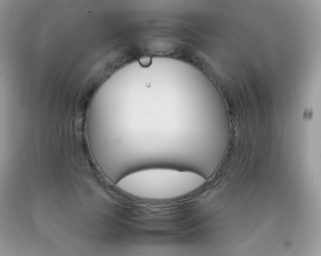 X0000092250745200709141005
