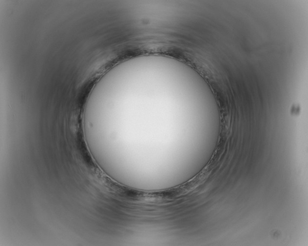 X0000092250746200709141005