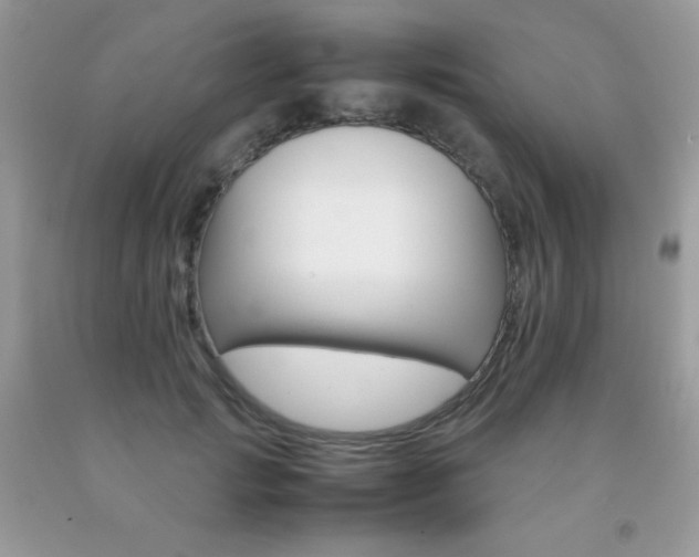 X0000092250749200709141005