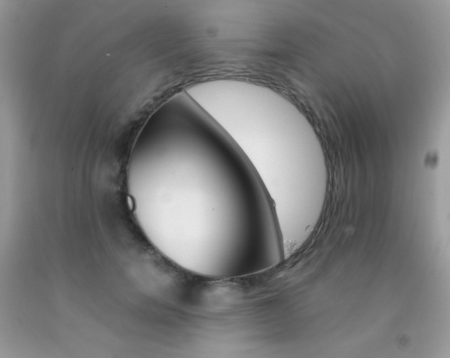 X0000092250750200709141005