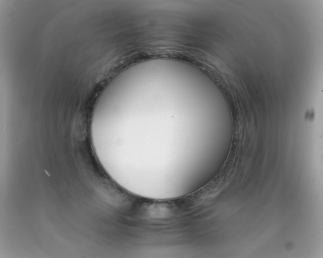 X0000092250751200709141005