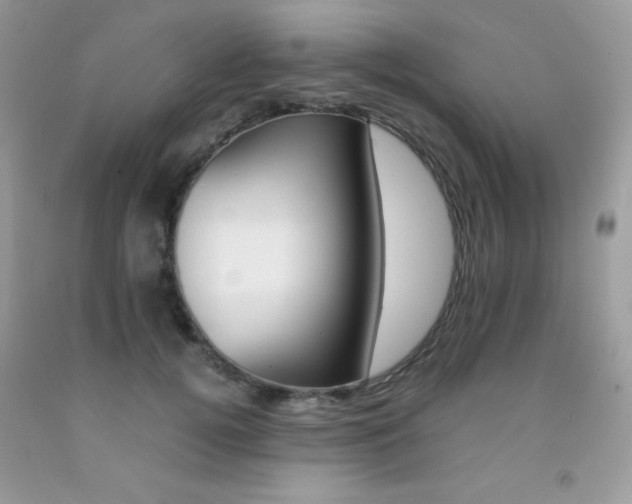 X0000092250752200709141005