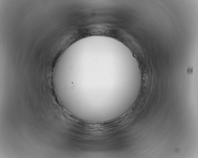 X0000092250753200709141005