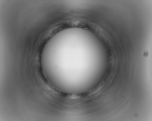 X0000092250754200709141005