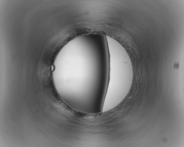 X0000092250756200709141005
