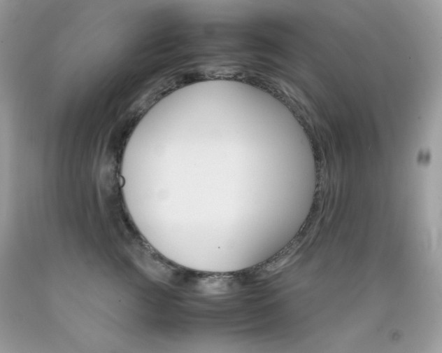 X0000092250761200709141005