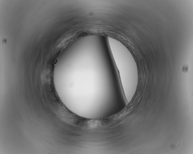 X0000092250762200709141005
