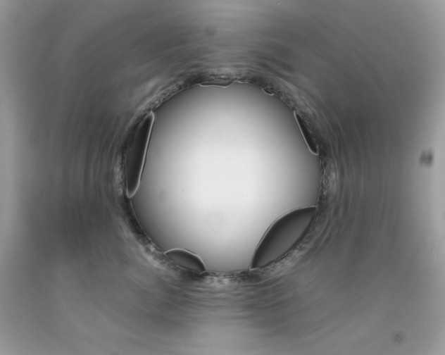 X0000092250764200709141005