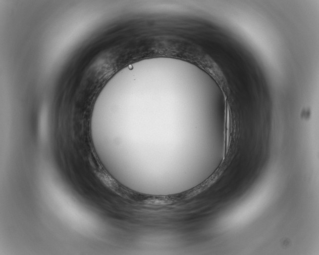 X0000092250765200709141005