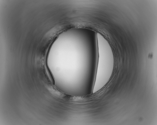 X0000092250766200709141005