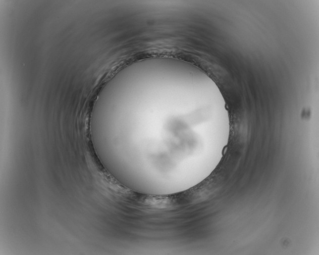 X0000092250767200709141005