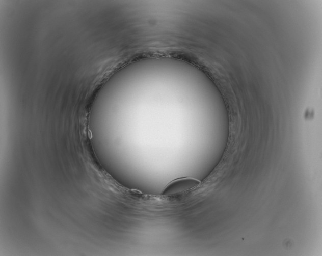 X0000092250768200709141005