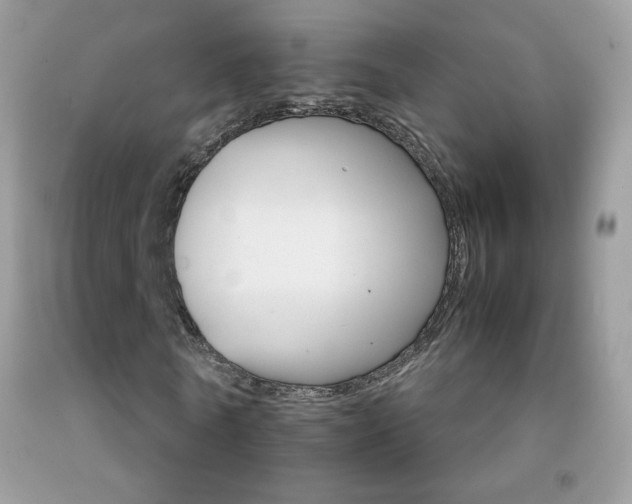 X0000092250770200709141005