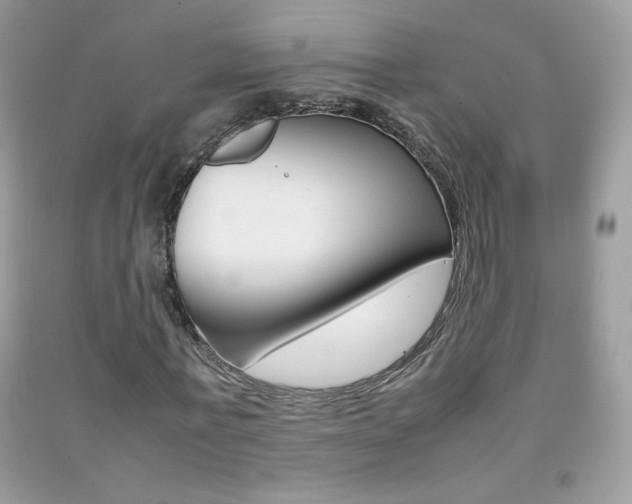 X0000092250771200709141005