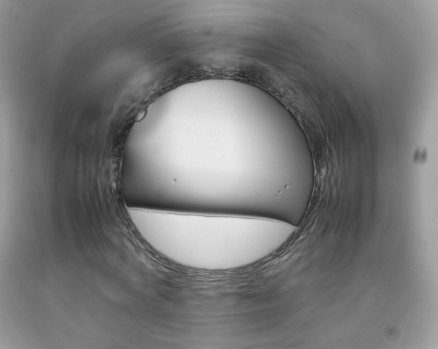 X0000092250772200709141005
