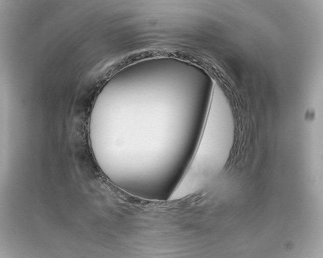 X0000092250773200709141005