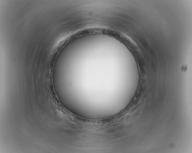 X0000092250775200709141004