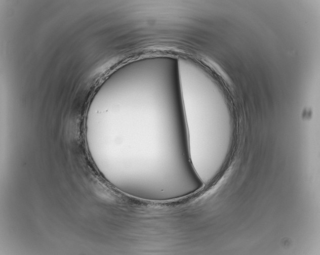 X0000092250777200709141004