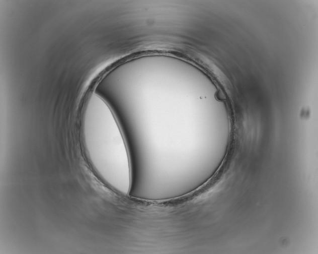 X0000092250779200709141004