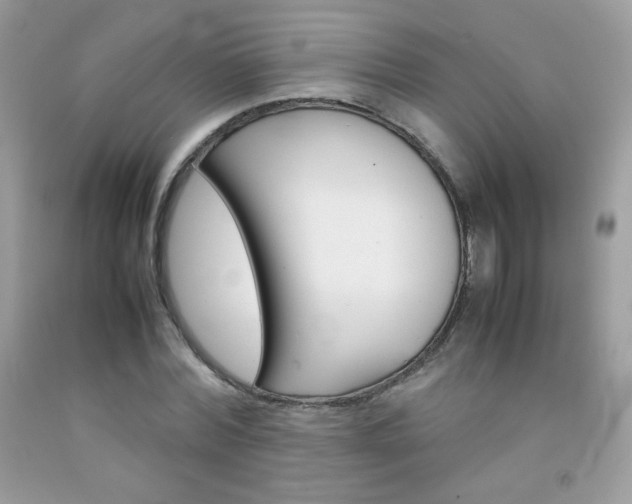 X0000092250780200709141004