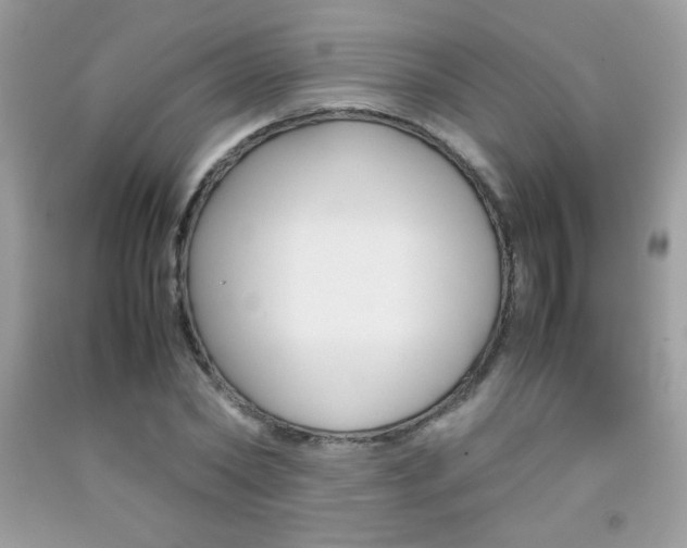 X0000092250782200709141004