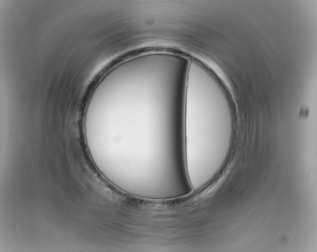 X0000092250783200709141004