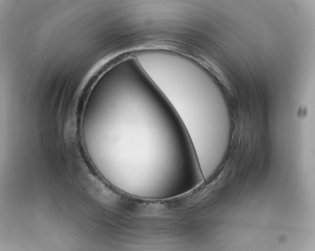X0000092250784200709141004