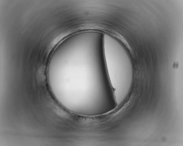 X0000092250786200709141004