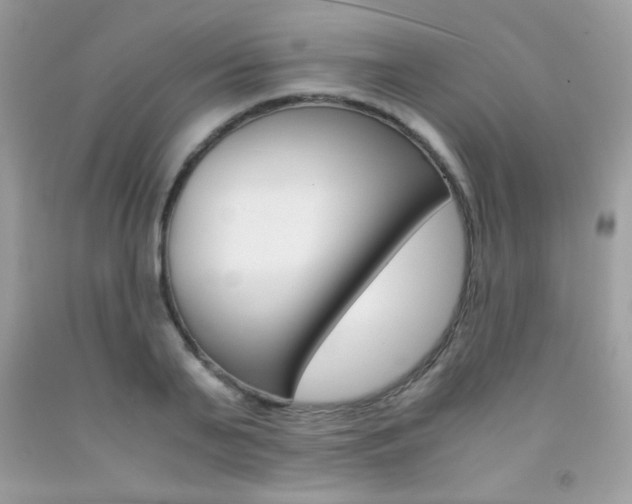 X0000092250791200709141004