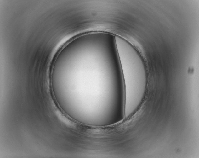X0000092250792200709141004