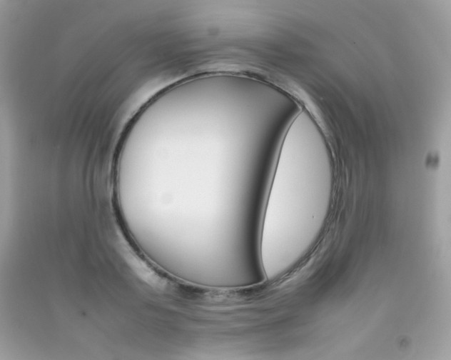 X0000092250795200709141004