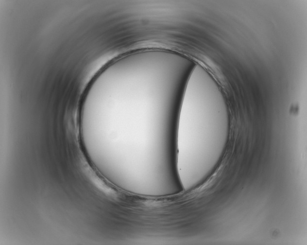 X0000092250796200709141004