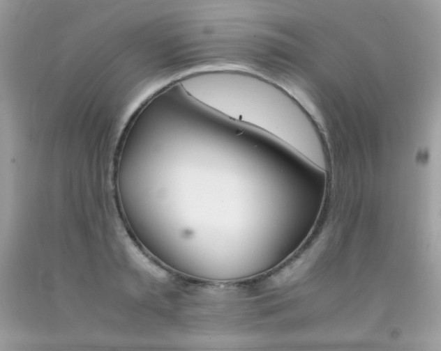 X0000092250797200709141004