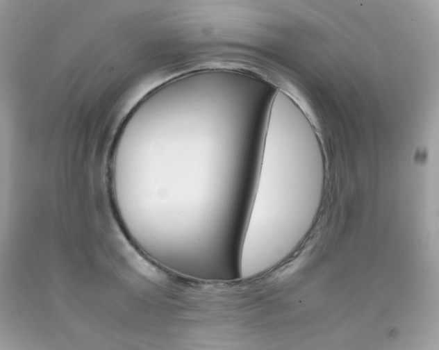 X0000092250803200709141004