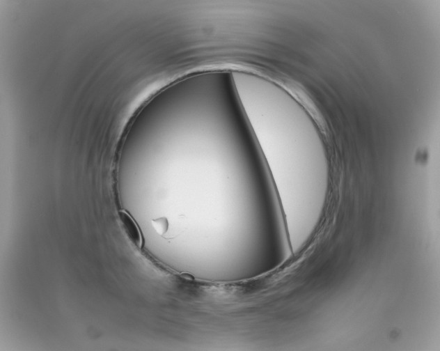 X0000092250805200709141004