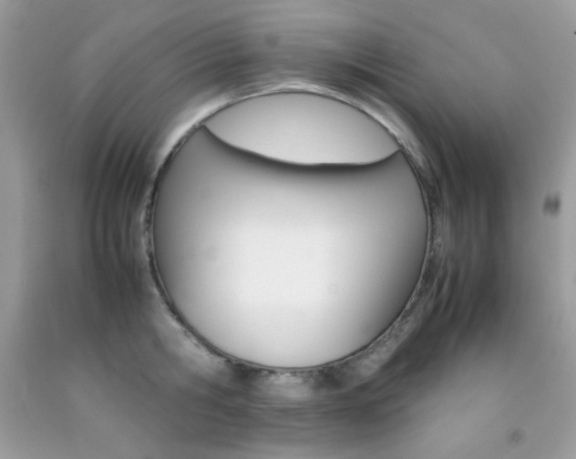 X0000092250806200709141004