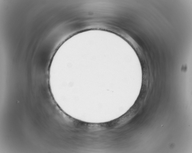 X0000092250807200709141004