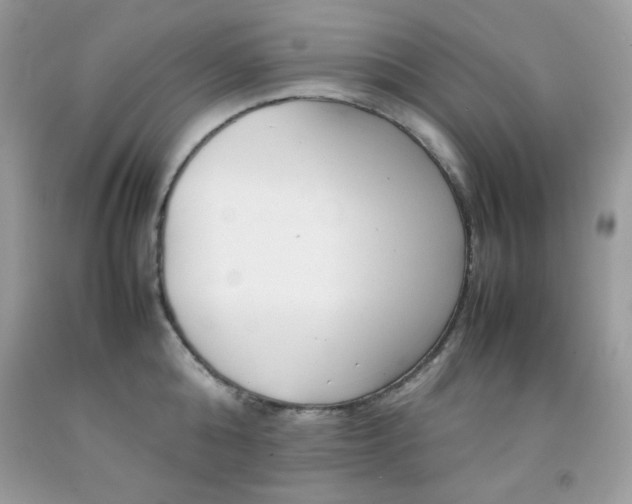 X0000092250808200709141004