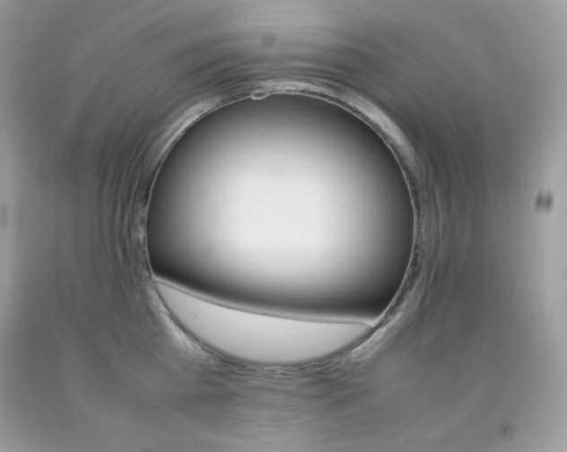 X0000092250809200709141004