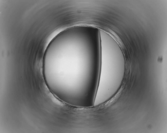 X0000092250812200709141004