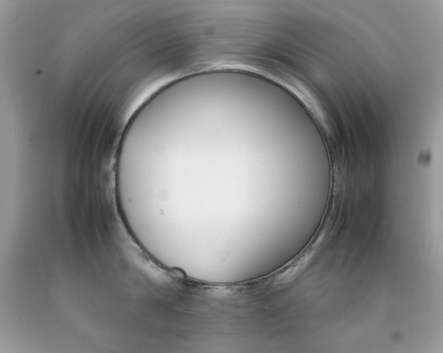X0000092250814200709141004