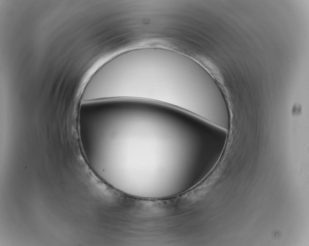 X0000092250816200709141004