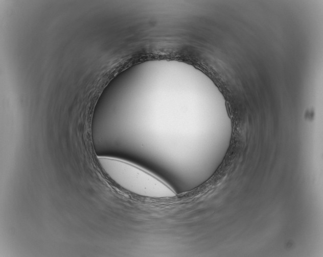 X0000092250817200709141003