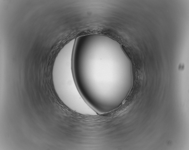 X0000092250818200709141003