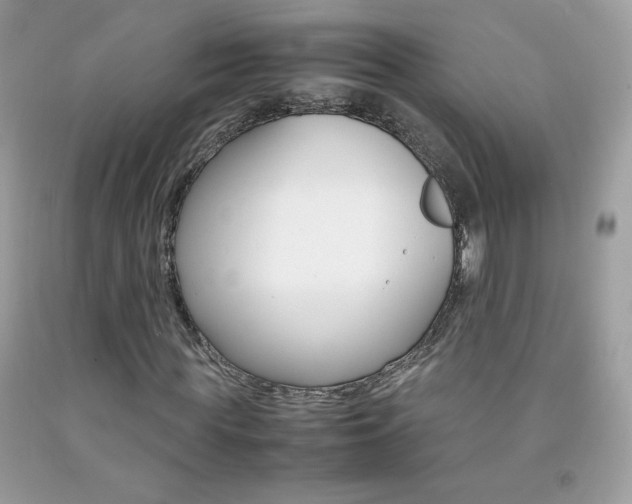 X0000092250819200709141003