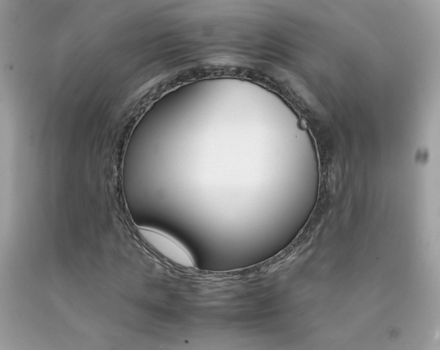 X0000092250821200709141003